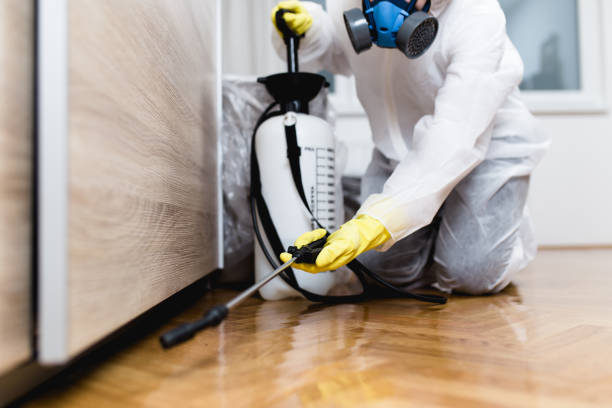 Wasp Removal Services in Hamburg, AR