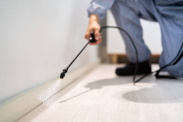 Best Termite Control Services  in Hamburg, AR