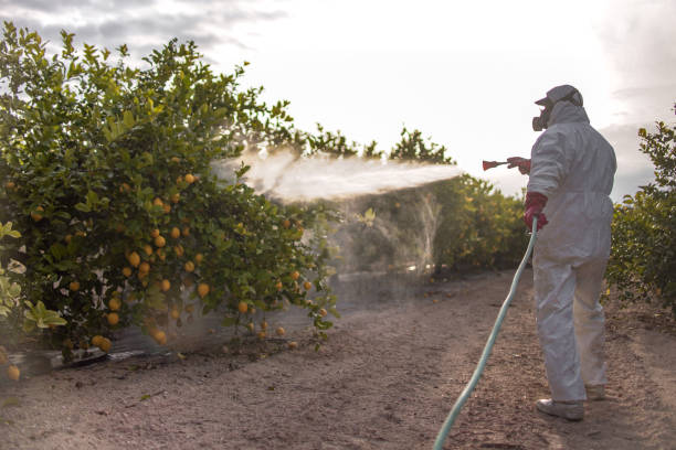 Best Pest Control Near Me  in Hamburg, AR