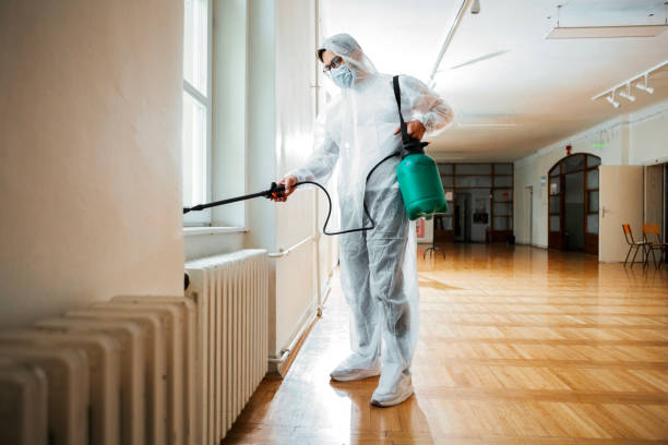 Best Ant Control Services  in Hamburg, AR