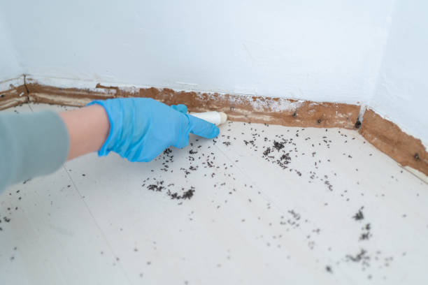 Best Wildlife Control Services  in Hamburg, AR