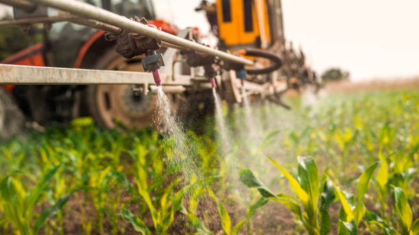 Best Local Pest Control Services  in Hamburg, AR